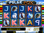 Играть бесплатно в Polar Fox